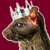 :iconrodentking: