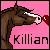 :iconrodeo-rogue: