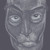 :iconrodgonilus: