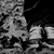 :iconrodnocus: