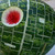 :iconrodnysplockets: