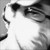 :iconrodrigo-barba: