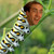 :iconroflcowpter: