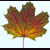 :iconrogallia-stock:
