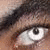 :iconrogeriochagas: