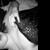 :iconrogue-angel-17: