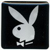 :iconrogue-design: