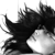 :iconrogueifer: