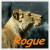 roguelioness :iconroguelioness: