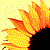 :iconrokcndy: