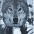 :iconrokefenrir: