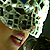 :iconroki-is-a-fighter: