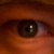 :iconrolandfish: