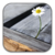 :iconrolly01: