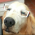 rolo145 :iconrolo145: