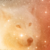 :iconromannosess: