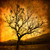 :iconromansolar: