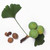:iconromantic-alukard: