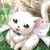 :iconromantic-kitten24682: