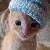:iconromantic-melancholic: