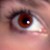 :iconromcas: