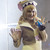 :iconromchu: