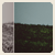 :iconron-cohen: