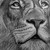 :iconrona4: