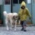 :iconronburgundi: