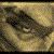 :iconroniarte: