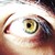 :iconronsenrot: