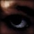 :iconroo-wolf: