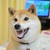 Rookiecp :iconrookiecp: