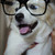 :iconroommyt: