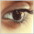:iconrooo7-elbdawh: