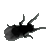 :iconrootlace: