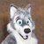 :iconrorythesnowdawg: