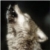 :iconrosalie-89: