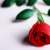 Rosalie-Driscoll :iconrosalie-driscoll: