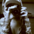 :iconrosanapeace: