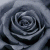 :iconRosary94: