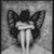 :iconrose-jayne: