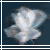 :iconrose-petals-falling: