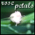 :iconrose-petals: