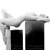 :iconrose-riley: