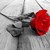 :iconrose-vial-1:
