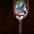 :iconrose-wolf12: