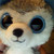 :iconrose1356: