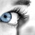 :iconrose2012: