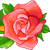 ♫♥♥♥♫Club:Pichi Pichi Pitch♫♥♥♥♫Entra y Diviertete en una aventura de sirenas♫♥♥♥♫ Rose4plz